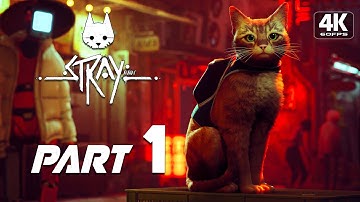 STRAY PC Gameplay Walkthrough Part 1 [4K 60FPS] - No Commentary (FULL GAME)