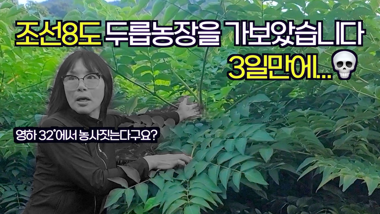 신구두릅 엄나무재배 두릅재배로 성공하는 전국팔도 귀농인들