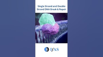 What Causes Cancer? SS and DS DNA Break & Repair #csirnet #biology #shortvideo