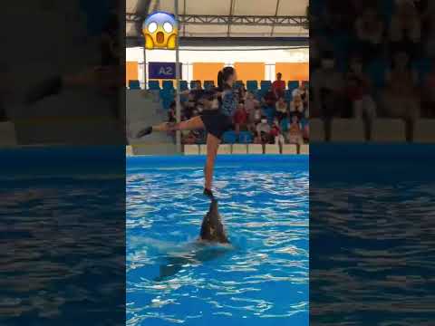 Girl vs Dolphin 😱 Mind blowing art #viralvideo #art  #artist