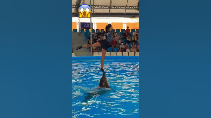 Girl vs Dolphin 😱 Mind blowing art #viralvideo #art  #artist