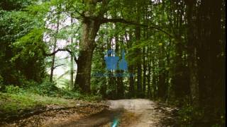 Funk Down (Sting) - MK2