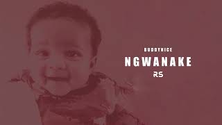Buddynice - Ngwanake (Visualizer)