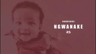 Buddynice - Ngwanake (Visualizer)