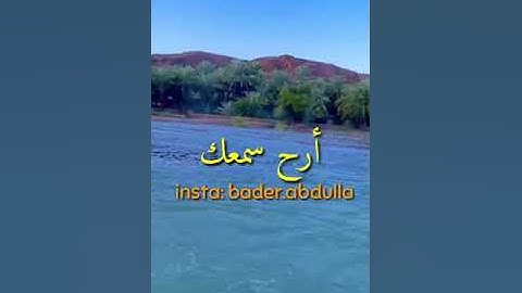 عَمَّ يَتَسَاءَلُونَ - سورة النبإ - سعيد الخطيب