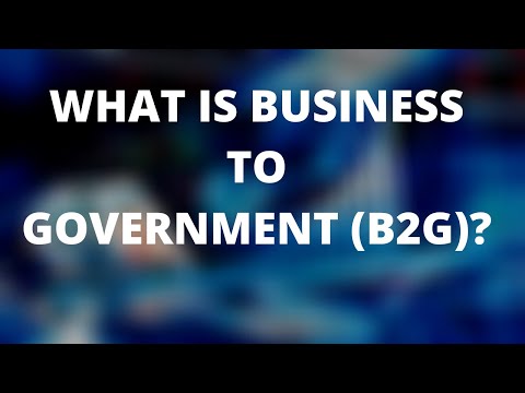 WHAT IS BUSINESS TO GOVERNMENT (B2G) COMMERCE || FINANCE