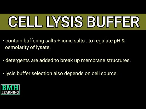 Video: Hvad er formålet med lysis?