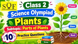Class 2 Science Olympiad | Plants Practice Questions | 10 MCQs | SOF NSO Preparation screenshot 2