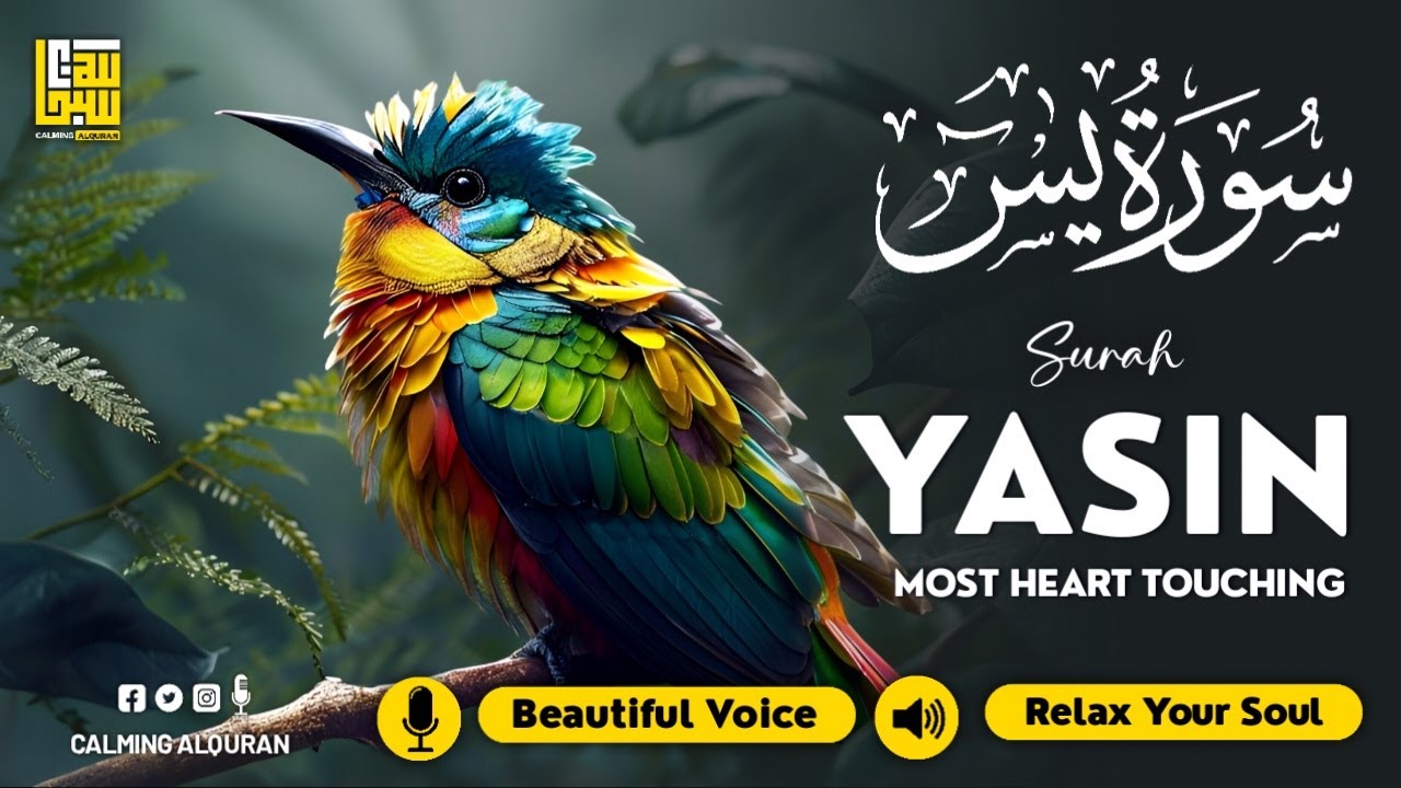 Yasin Surah Beautiful Recitation (سورة يس) ✦ Relaxing Quran Recitation ✦ Relaxation Ad-Free