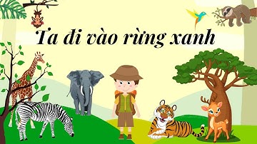 BÀI HÁT: TA ĐI VÀO RỪNG XANH