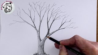 Como dibujar desde Cero #1 Como Dibujar un Arbol Realista