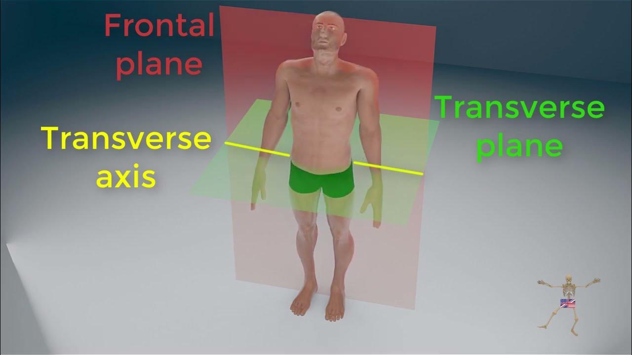 Anatomical Position Planes And Axes Of The Human Body Youtube