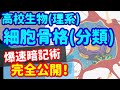 【高校生物 1】細胞【細胞骨格[分類]】を宇宙一わかりやすく