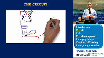 Cardiopulmonary Bypass: Circuit