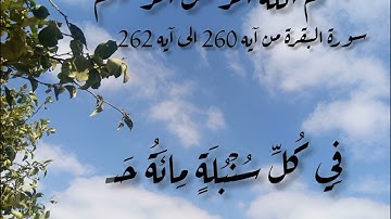 تلاوة من سورة البقرة بصوتي 🤍🤍#القرآن #سورة_البقرة #خشوع#آيات_ملهمه#تدبر#راحه_نفسيه#طمأنينة#اكسبلور