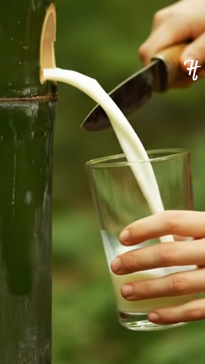 Unreal milky bamboo tree!