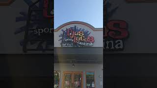 crazy eyes cantina