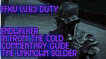 FFXIV Endwalker Level 83 Duty - In From The Cold - Commentary Guide - Unknown Soldier Duty