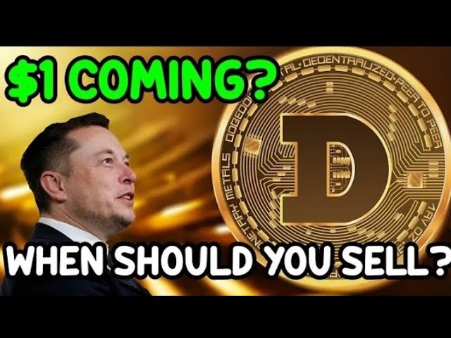 ELON MUSK DOGECOIN-Nachrichten heute in Hindi