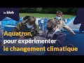 Aquatron, pour expérimenter le changement climatique | Reportage