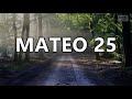Mateo 25 - La Biblia en tus manos