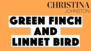 Christina Johnston - Green Finch and Linnet Bird (Sweeney Todd)