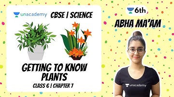 Getting To Know Plants | Class 6 |  Chapter 7 | Science | Abha Sharma | Unacademy Class 6