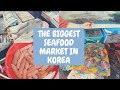 САМЫЙ БОЛЬШОЙ РЫБНЫЙ РЫНОК В КОРЕЕ/ АКУЛЫ В ПРОДАЖЕ/ Корея тур/The largest seafood market in Korea