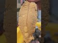Eating a massive #Kina #Seaurchin #uni #seafood #kaimoana #wildlife #mukbang #foodporn #chef #viral