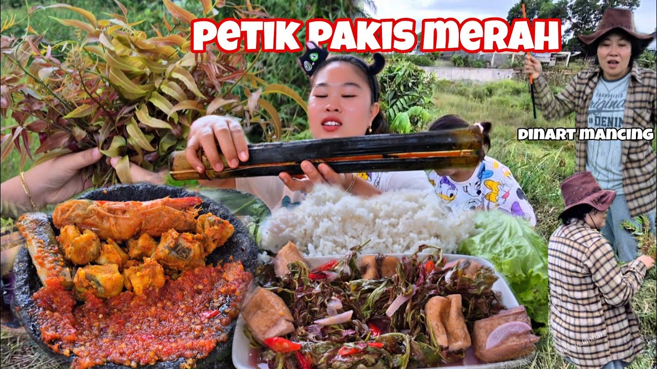 SORE2 IKUT DINAR MANCING‼️ PETIK PAKIS MERAH LIAR, MASAK IKAN DALAM BAMBU..‼️