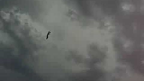 Scratchbuilt F-15 parkjet maiden