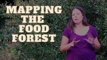 Mapping the Food Forest