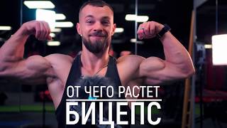 От чего растет бицепс? Упражнения на бицепс.