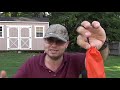 Beginning of video