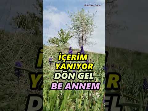 İçerim Yanıyor Dön Gel be ANNEM - Adem Bacel