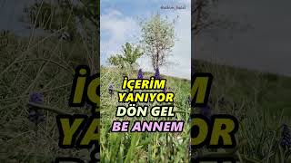 İçerim Yanıyor Dön Gel be ANNEM - Adem Bacel Resimi