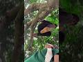 কি রাগ করছো 🤣☠️ #viral #reels #tutorial #trending #funny