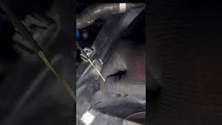 Bmw Coolant Flush