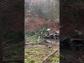 #harvester #harvest #ponsse #forest #woodworking #wood #satisfying #stihl #stihl500i #500i #forst
