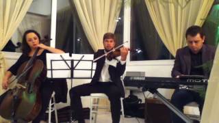 A Thousand Years - Christina Perri (violin theme)