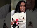 Dog attacks leave woman too afraid to leave her property | RNZ