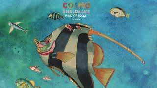 Cosmo Sheldrake ft. Bunty - Mind of Rocks chords