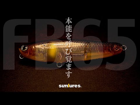 FB65 Debut ! - YouTube