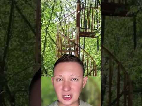 Если вы увидите в лесу такую лестницу бегите как можно быстрее