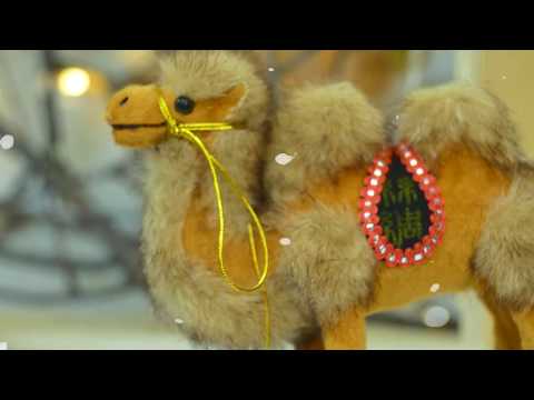 \" იარე მხოლოდ მზისკენ, მიჰყევი ფიფქებს ცისკენ...\"