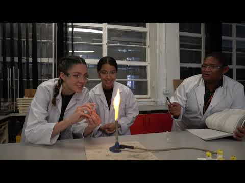 Video: Wat is curriculum volgens verschillende wetenschappers?