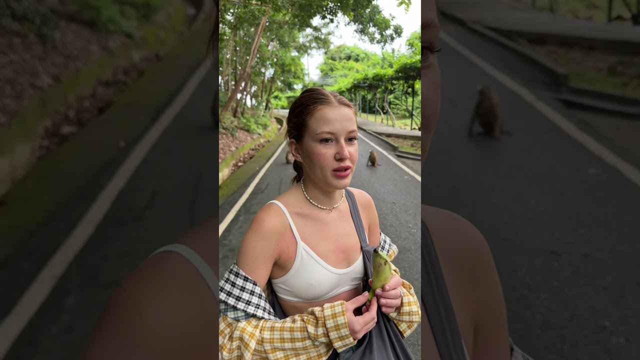 На нас напала обезьяна‼️🙈 #нустасиполя #отношения #реакция #обезьяна #пхукет