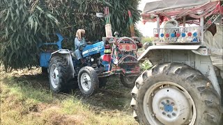 Ford 3600 Ford 3610 Together Pulling Heavy Loaded Trolley