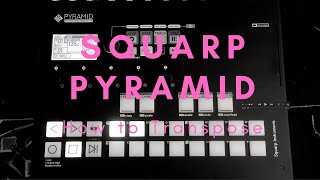 Famous How to Transpose Tracks and Notes on Squarp Pyramid Profile