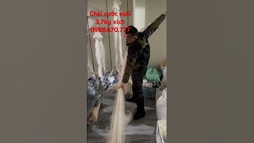 Chài cước suối săn cá Bống #thinhhanh #fishing